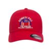 Picture of Donkey Pox The Disease Killing America Logo Embroidered Flexfit Hat