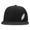 Picture of Grateful Dead Thunderbolt Side Logo Embroidered Flexfit Hat