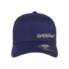 Picture of Mini Truckin Side Logo Embroidered Flexfit Hat