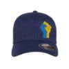 Picture of Ukraine Fist Side Logo Embroidered Flexfit Hat