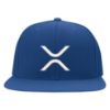 Picture of XRP Logo Embroidered Flexfit Hat