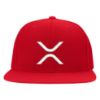 Picture of XRP Logo Embroidered Flexfit Hat