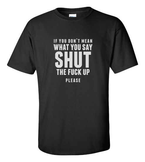 Picture of If You Don't Mean What You Say Shut The Fudge Up Please Funny T-shirt