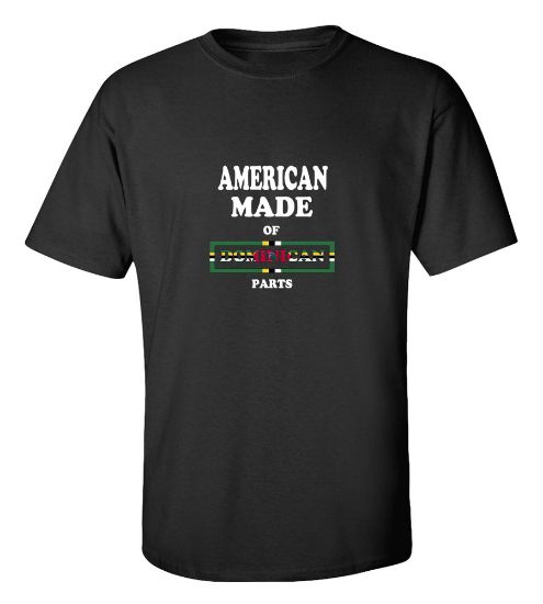 Picture of American Made of Dijibouti Parts-T-Shirt