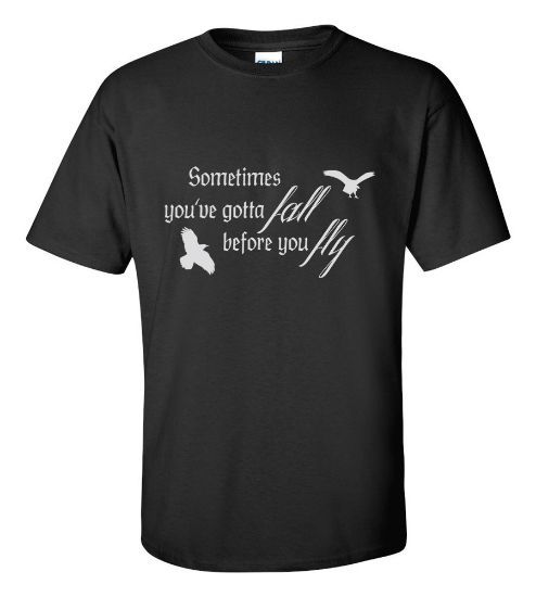 Picture of Sometimes You've Gotta Fall Before You Fly T-shirt