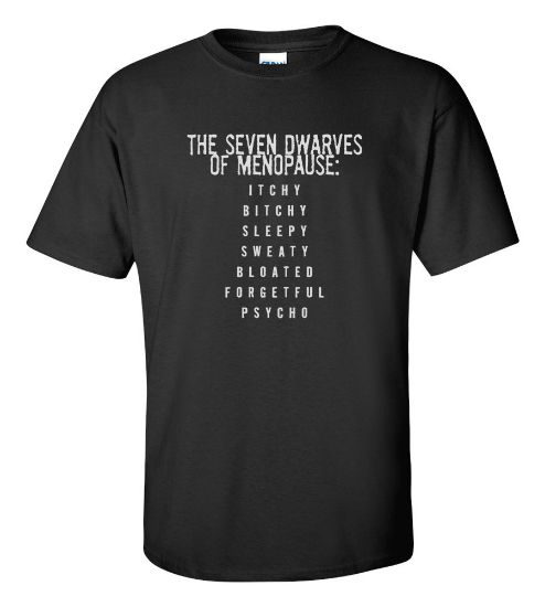 Picture of The Seven Dwarves Of Menopause T-shirt Funny Humor